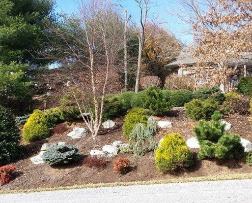Steep Slope Erosion Control Options | Lawn-N-Order Landscaping